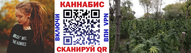 Конопля MAZAR  Печора 